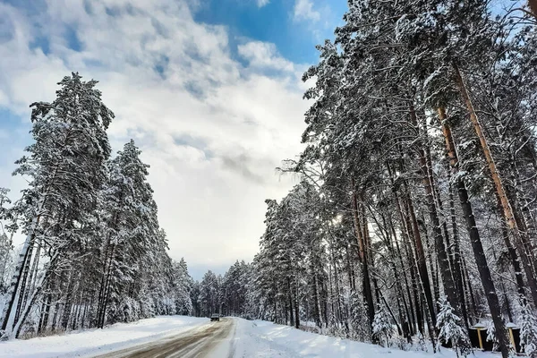 View of the forest and road at winter. The trees are covered with snow — Stock Photo, Image