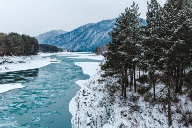 Dağlardaki nehirde kayalar, taşlar ve buzla kaplı kış manzarası. Ağaçlar ve taşlar karla kaplı.