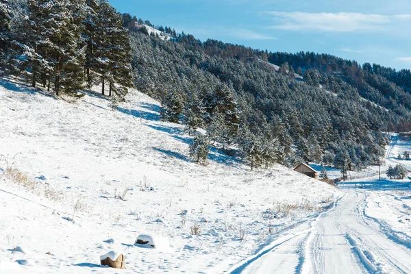 Kış manzarası, dağlar ve köknar. Ağaçlar ve taşlar karla kaplı.