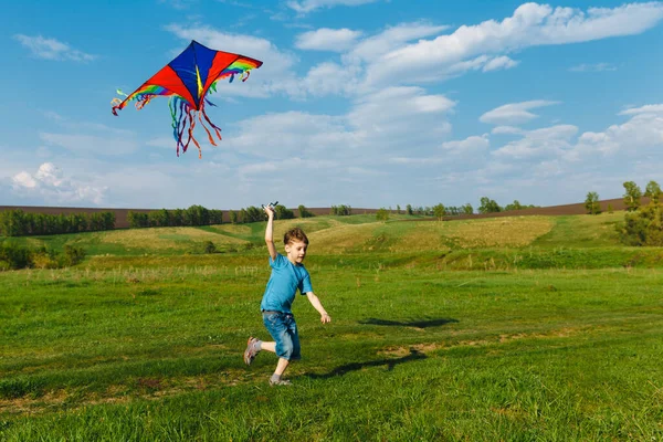 Activité de plein air. Garçon heureux avec un cerf-volant coloré courir dans une prairie en été dans la nature et avoir du plaisir Images De Stock Libres De Droits