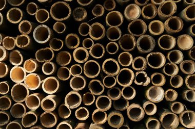 Bambu sırığı yığını. Yuvarlak kereste kütükleri. Endüstriyel ölçekte veya imalat için büyük miktarda ahşap kütük. Mobilya fabrikası için malzeme deposu. Bambu soyut arkaplan sanatı.
