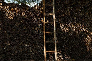 Bambu sırığı yığını. Yuvarlak kereste kütükleri. Endüstriyel ölçekte veya imalat için büyük miktarda ahşap kütük. Mobilya fabrikası için malzeme deposu. Bambu soyut arkaplan sanatı.