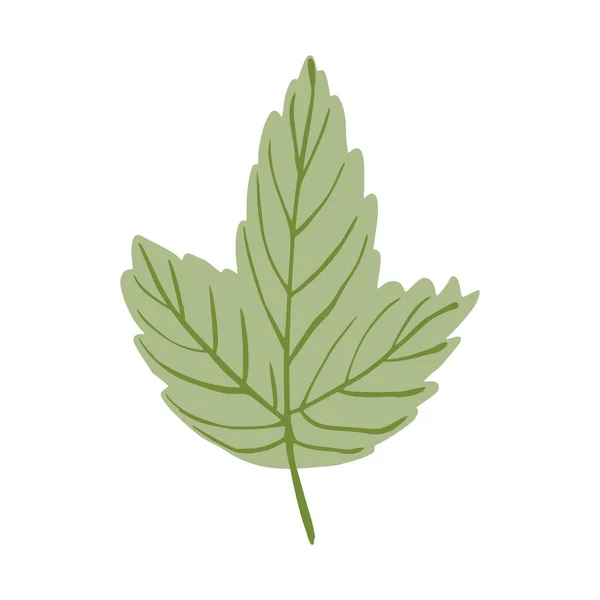 Zielony Liść Izolowany Białym Tle Piękna Ręcznie Rysowana Ikona Naturalna — Wektor stockowy