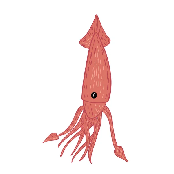 Squid Профиль Изолированы Белом Фоне Мультфильм Милые Персонажи Нарисованы Вручную — стоковый вектор