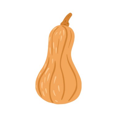 Balkabağı beyaz arka planda izole edilmiş. Çizgi film, mevsimlik sebze elle çizilmiş. Doodle vektör illüstrasyonu.