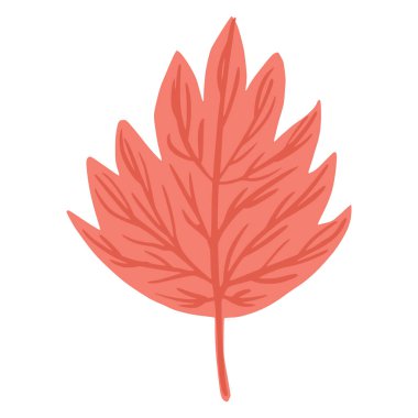 Sonbahar yaprağı beyaz arkaplanda izole edilmiş. İskandinav botanik çizimi. Doodle vektör illüstrasyonu.