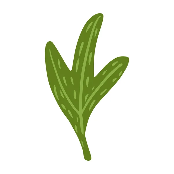 Folhas Isoladas Sobre Fundo Branco Planta Botânica Esboço Ilustração Vetorial — Vetor de Stock