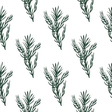 Yeşil biberiye dallı kusursuz desen. Beyaz arka plan. İzole doğa arka planı. Kumaş tasarımı, tekstil baskısı, ambalaj ve kapak için mükemmel. Vektör illüstrasyonu.