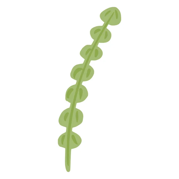 Fehér Alapon Izolált Hínár Dekoratív Szimbólum Tengeri Algák Zöld Színű — Stock Vector
