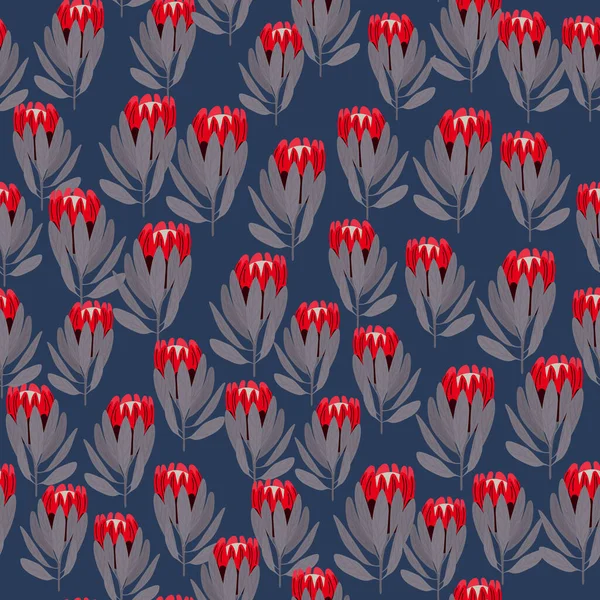 Graue Blätter Und Rote Protea Blüten Mit Nahtlosem Muster Marineblauer — Stockvektor