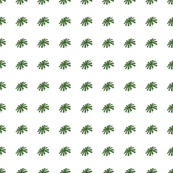 Tropical Αφηρημένο Μοτίβο Χωρίς Ραφή Πράσινο Μικρό Doodle Παλάμη Licuala — Διανυσματικό Αρχείο