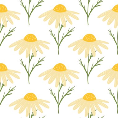 Çiçeksiz yaz deseni, izole edilmiş sarı papatya çiçekleri deseni. Beyaz arka plan. Botanik şekilleri. Kumaş tasarımı, tekstil baskısı, ambalaj ve kapak için tasarlandı. Vektör illüstrasyonu.