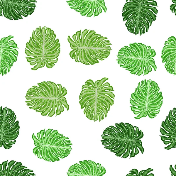 Motif Isolé Sans Couture Avec Ornement Feuilles Monstère Verte Tropicale — Image vectorielle