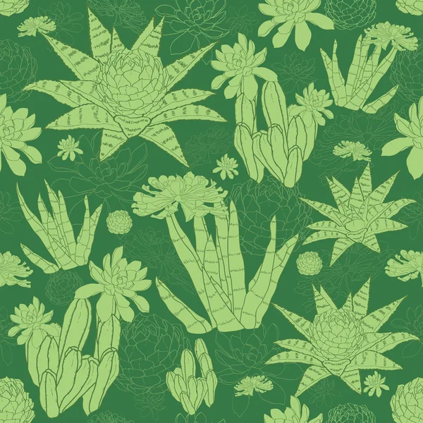 Vector verde lineal suculentas patrón sin costura — Archivo Imágenes Vectoriales