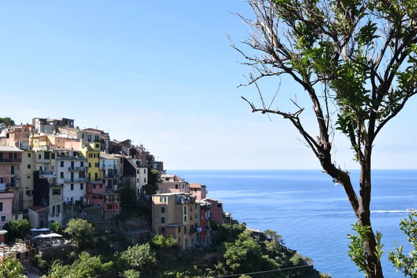 Corniglia ciudad en la colina en la Riviera Italiana — Foto de Stock