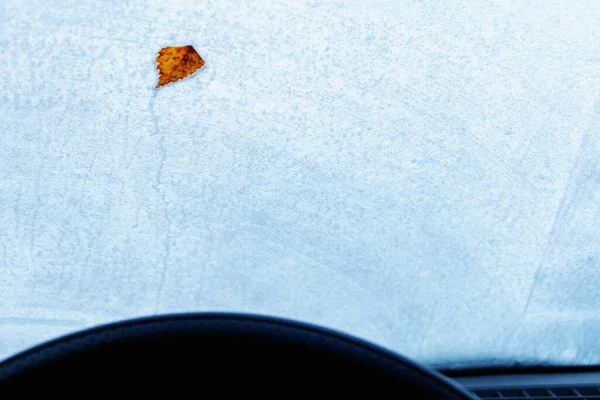 Frozen car window from the interior.