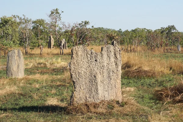 Litchfield National Park, Australia — Stock Photo, Image