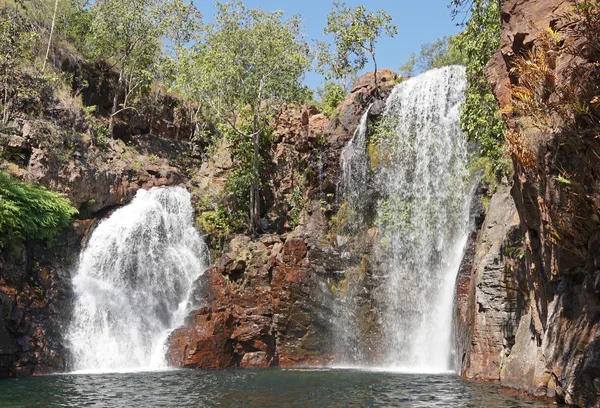 Litchfield Milli Park, Avustralya