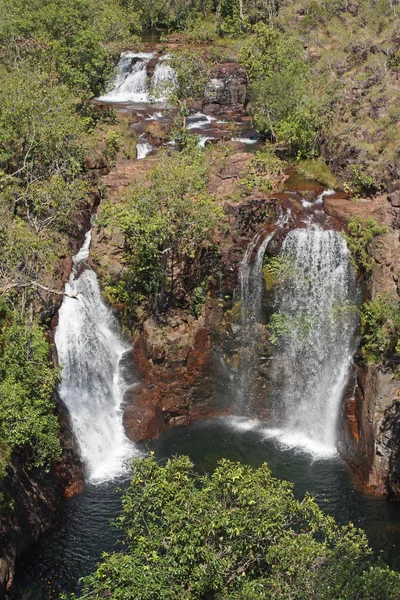 Litchfield National Park, Australien — Stockfoto