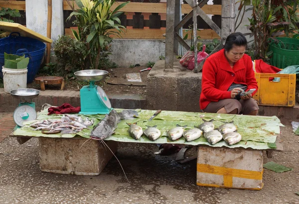 Open air market, Luang Prabang, Laos — Stock Photo, Image