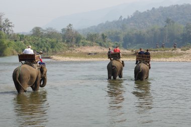 Fil, Laos, Asya