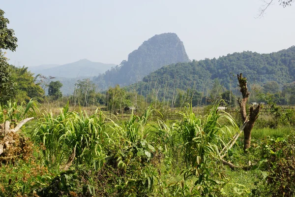 Muang Ngoi, Laos, Asia — 图库照片