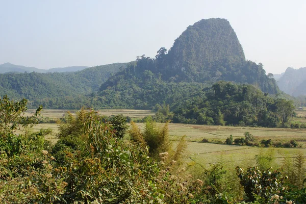 Paesaggio Intorno Muang Ngoi Laos Asia — Foto Stock