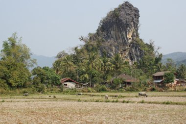 Köy, Laos, Asya