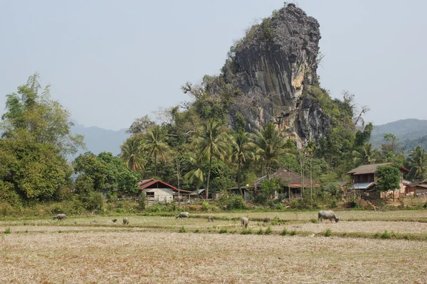 Asia Village, Laos, — Zdjęcie stockowe