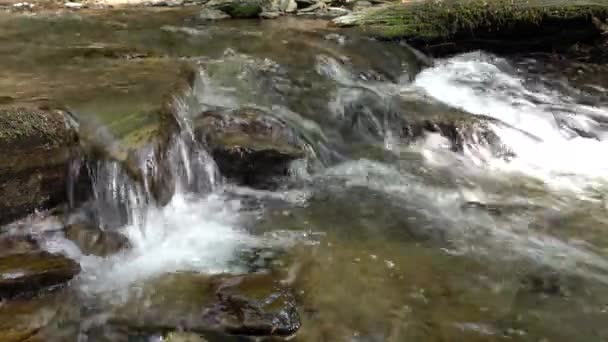 Piccolo Torrente Endert Una Valle Laterale Del Fiume Mosella Vicino — Video Stock