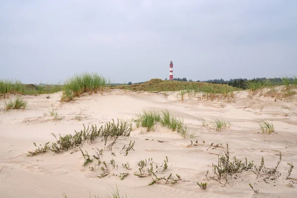 Imagen Panorámica Las Dunas Amrum Con Faro Alemania —  Fotos de Stock