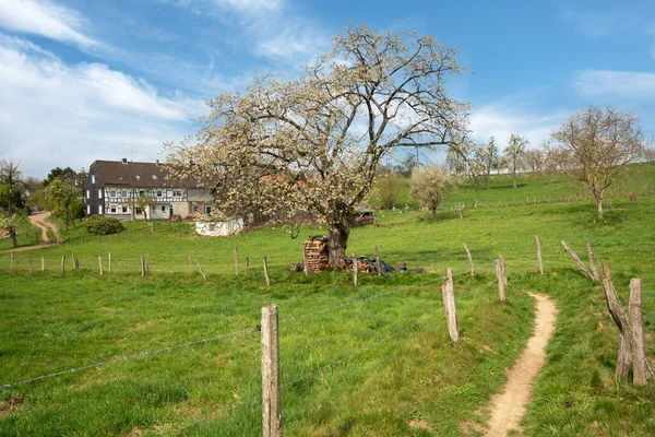 Panoráma Táj Távolsági Túraútvonal Mentén Bergischer Panoramasteig Bergisches Land Németország — Stock Fotó