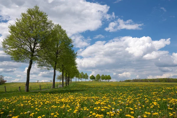 Panoramisch Landschap Van Weide Met Wolken Blauwe Lucht Lente Bergisches — Stockfoto