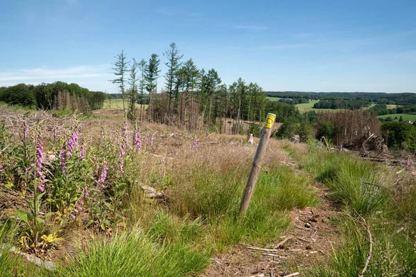 Wipperfurth Alemanha Junho 2021 Trilha Caminhada Longa Distância Bergischer Panoramasteig — Fotografia de Stock