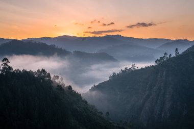 Sabahın erken saatlerinde Bwindi Ulusal Parkı 'nın panoramik görüntüsü, Uganda