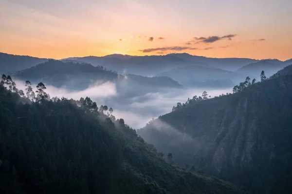 Immagine Panoramica Del Parco Nazionale Bwindi Con Atmosfera Mattutina Uganda — Foto Stock