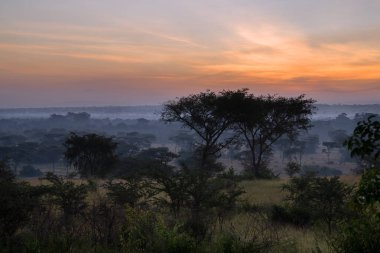 Panoramik görüntü, Uganda Ulusal Parklarında gün doğumu