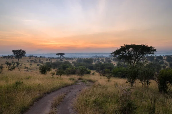 Immagine Panoramica Alba Parchi Nazionali Dell Uganda — Foto Stock