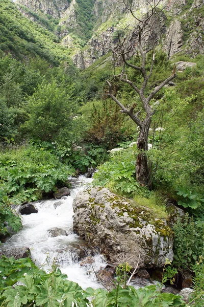 Gveleti υψηλής κοιλάδα, στα βουνά του Καυκάσου, γεωργία — Φωτογραφία Αρχείου