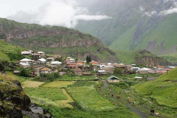 마을, 코 카 서 스 산맥, 조지아 — 스톡 사진