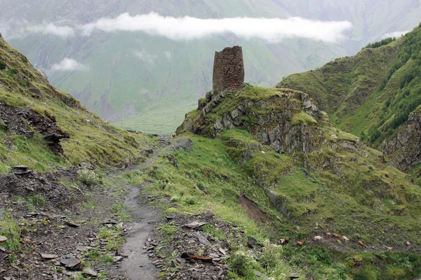 Sentier, Montagnes du Caucase, Géorgie — Photo