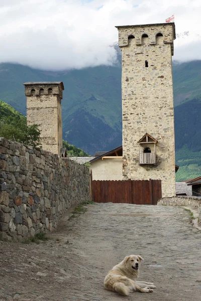 Mestia, Gürcistan — Stok fotoğraf