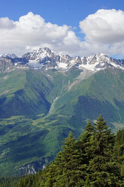 Caucaso Montagne, Mestia, Georgia — Foto Stock