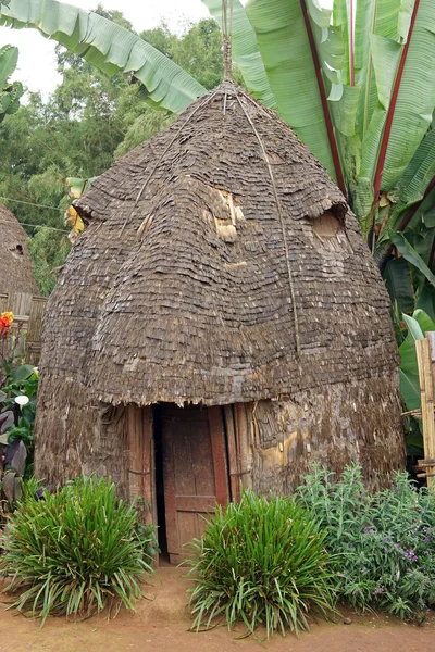 Dorze, Etiopien, Afrika - Stock-foto