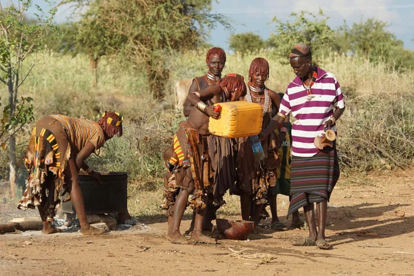 Hamer, Ethiopie, Afrique — Photo