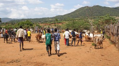 Sığır pazarı, anahtar Afer, Etiyopya, Afrika