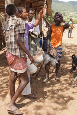 Sığır pazarı, anahtar Afer, Etiyopya, Afrika