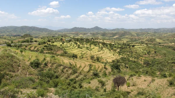 Konso, Etiopía, África —  Fotos de Stock