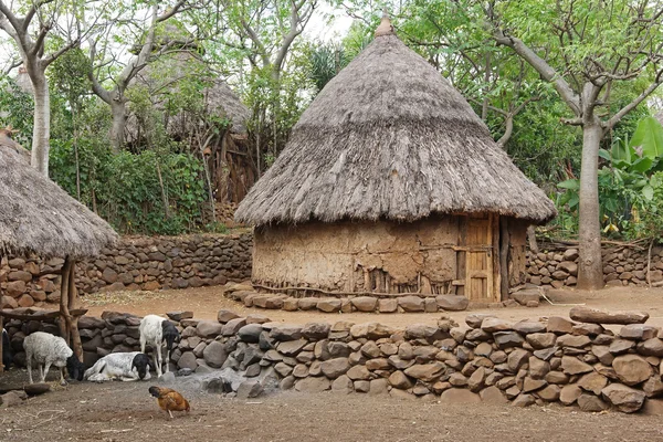 Konso, Etiopía, África — Foto de Stock