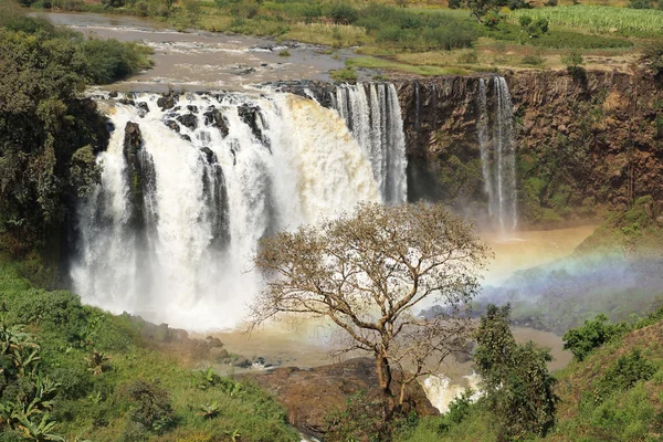 Blå Nilen falls, Bahar Dar, Etiopien — Stockfoto